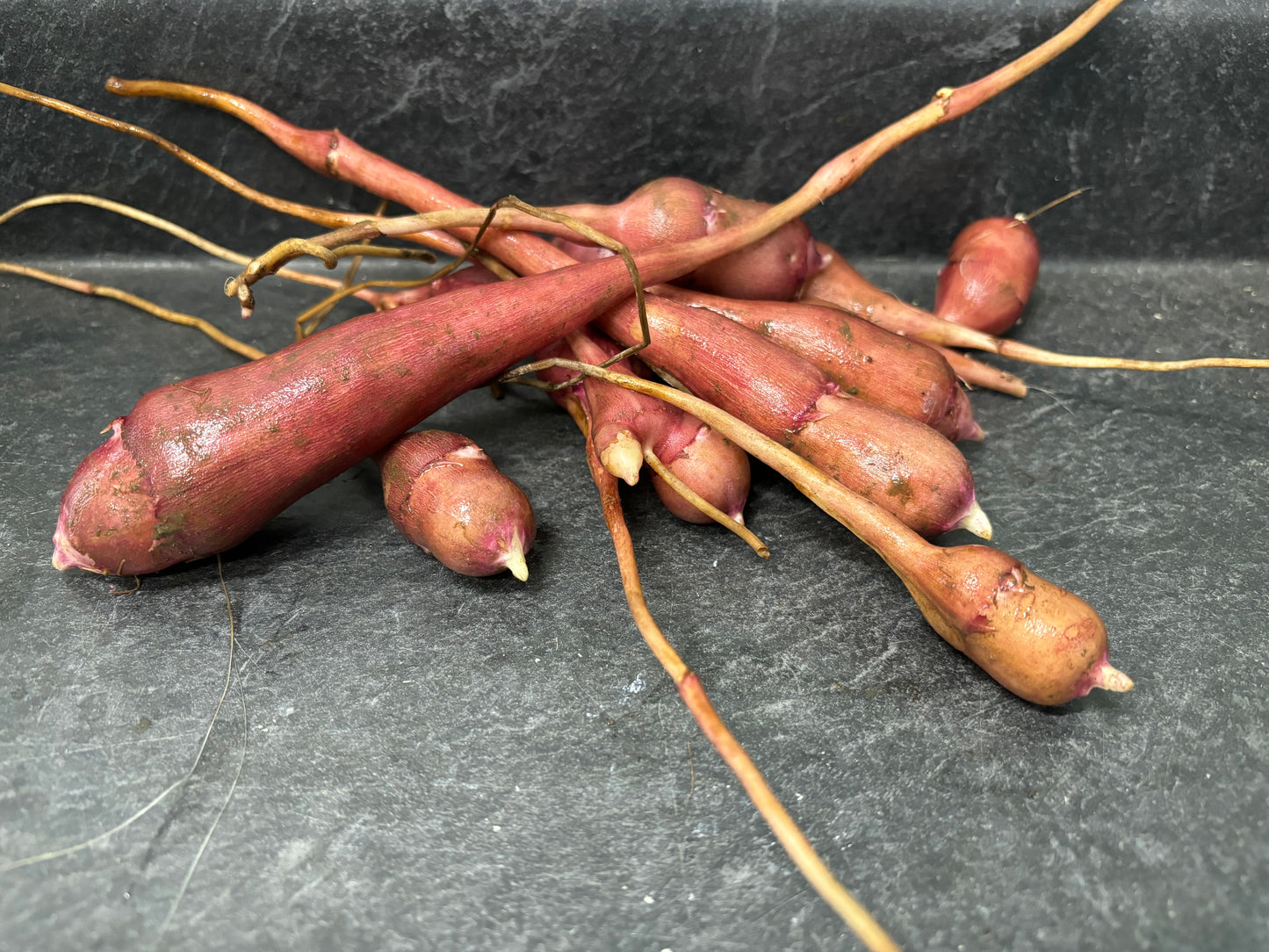 Jerusalem Artichokes