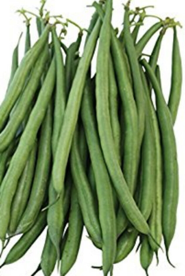 Aiguille Verte (Fine green bean)190 Le Jardin du Gourmet