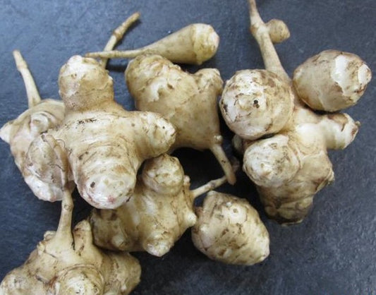 Jerusalem Artichokes