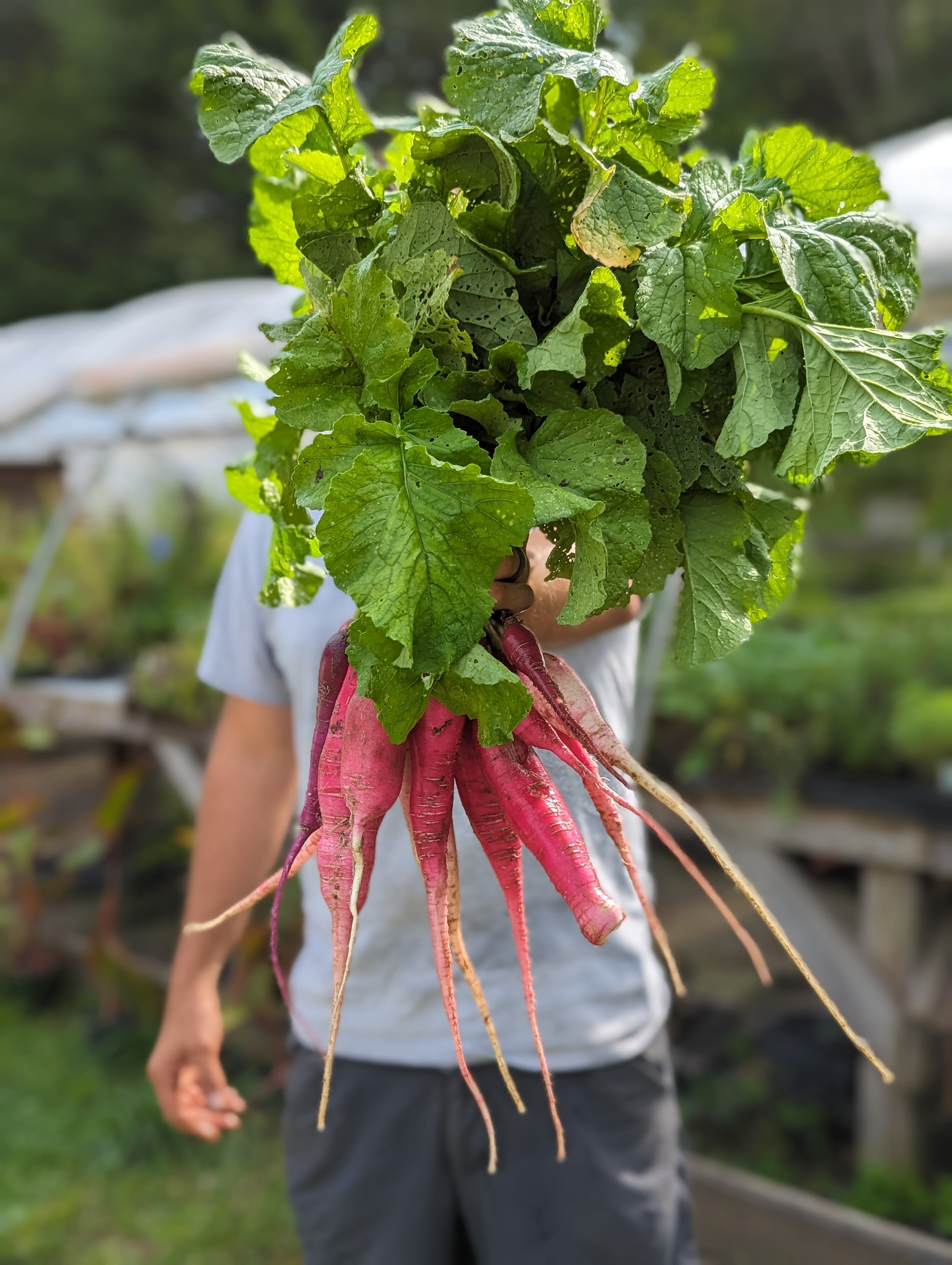 Le Jardin du Gourmet