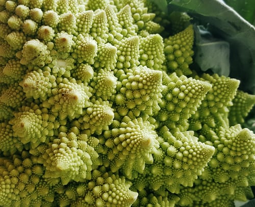 Broccoli Romanesco #297