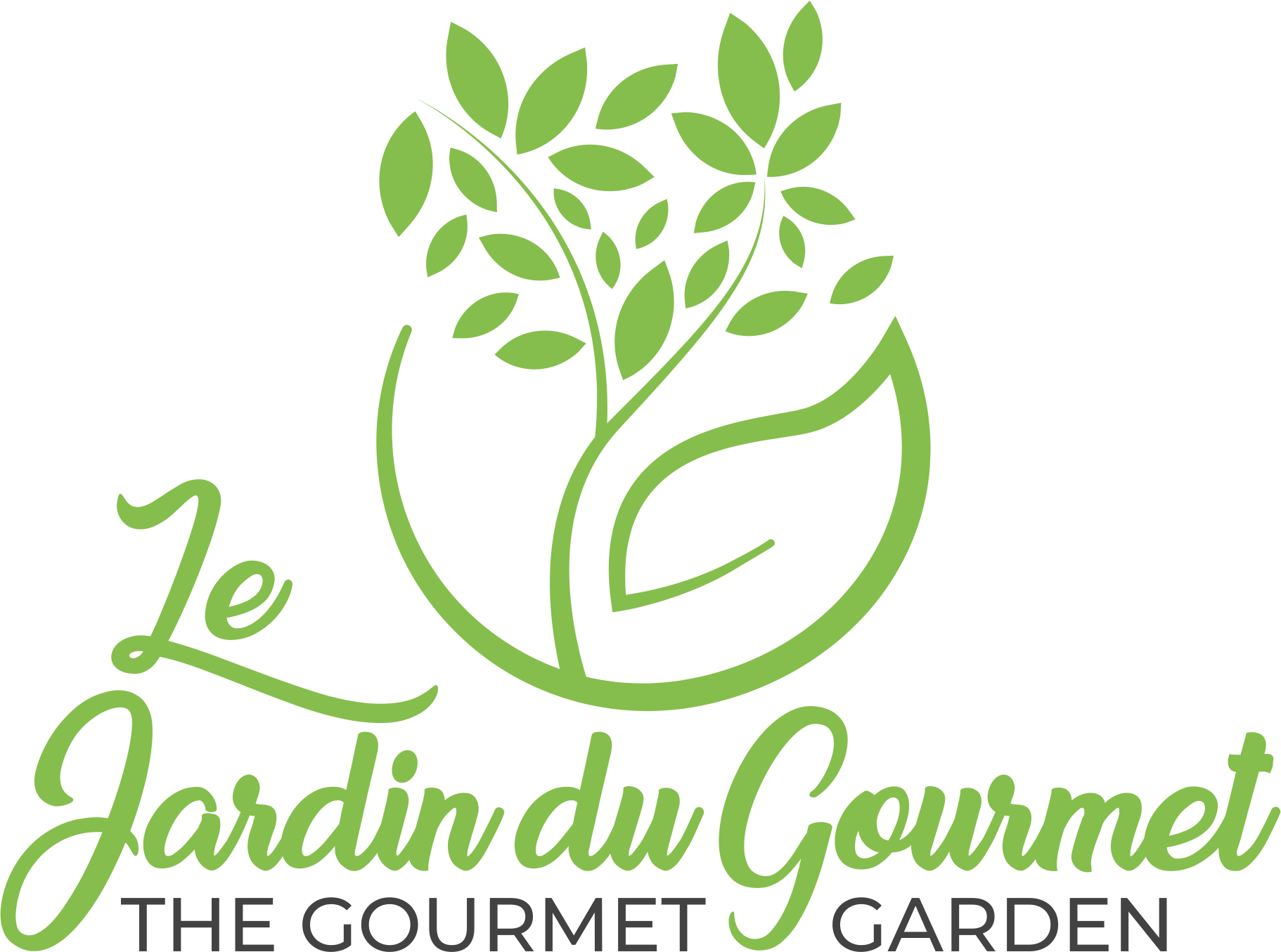 French Sorrel plant Le Jardin du Gourmet