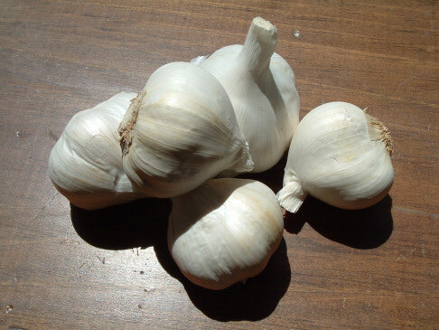 Garlic (Softneck) Spring 2025